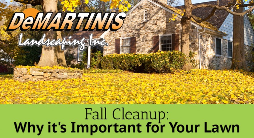 Fall Cleanup Why It S Important For, How To Clean Up Landscaping